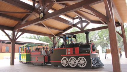 Paseo en tren Vialdea