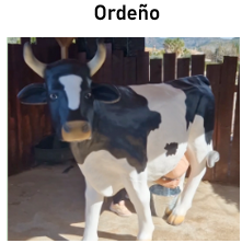 Opción 2
