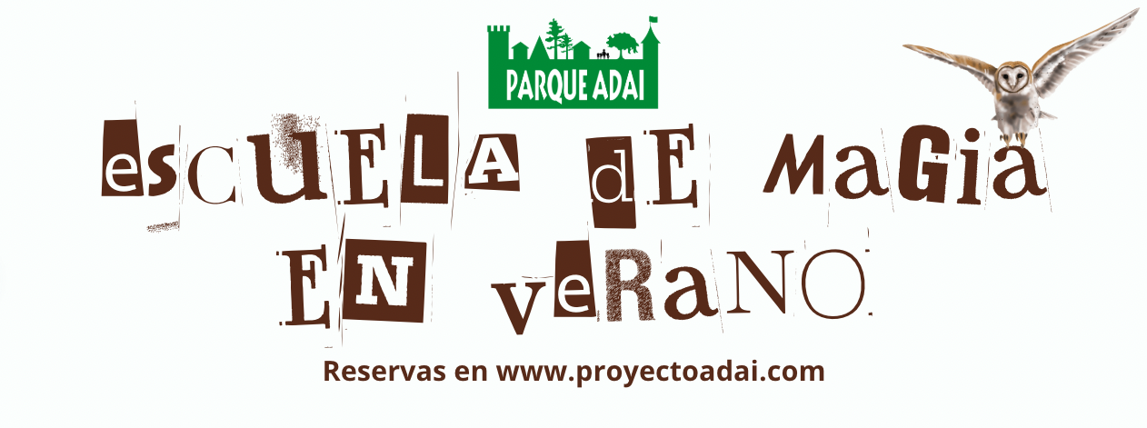 BANNER ESCUELA DE MAGIA escuela de verano valencia 2025